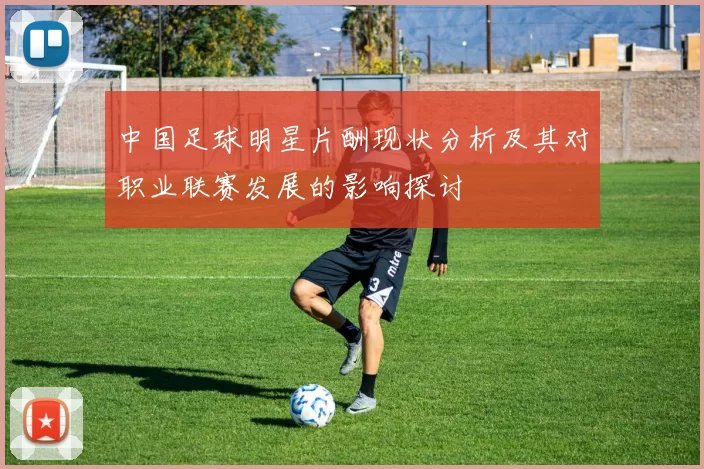 中国足球明星片酬现状分析及其对职业联赛发展的影响探讨