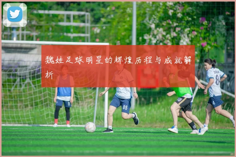 魏姓足球明星的辉煌历程与成就解析