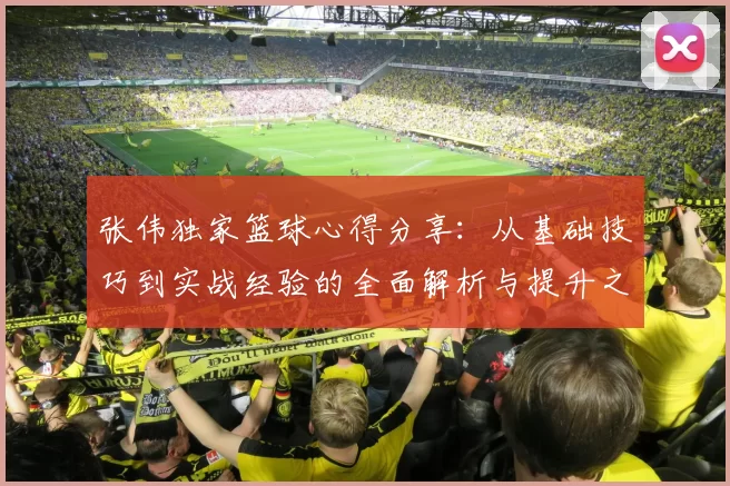 张伟独家篮球心得分享：从基础技巧到实战经验的全面解析与提升之道