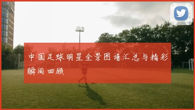 中国足球明星全景图谱汇总与精彩瞬间回顾