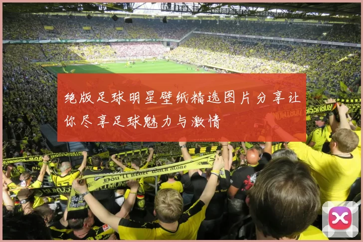 绝版足球明星壁纸精选图片分享让你尽享足球魅力与激情
