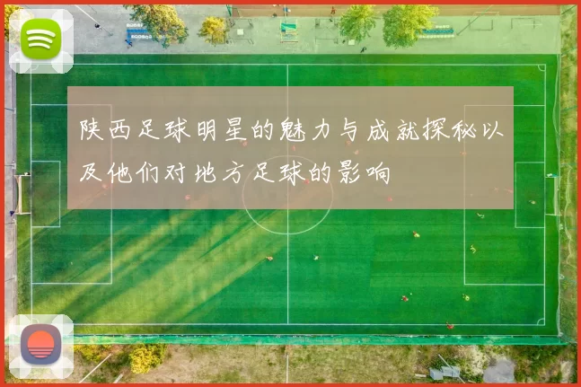 陕西足球明星的魅力与成就探秘以及他们对地方足球的影响