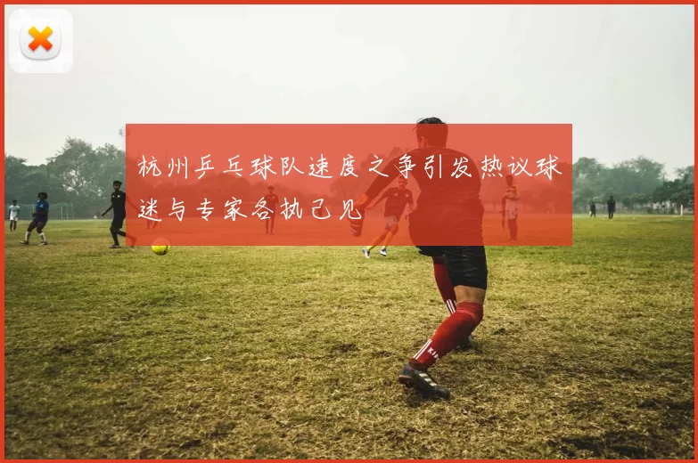 杭州乒乓球队速度之争引发热议球迷与专家各执己见