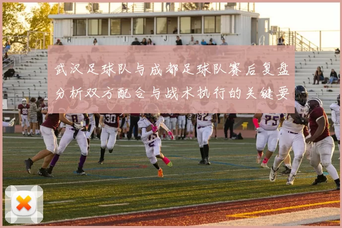 武汉足球队与成都足球队赛后复盘分析双方配合与战术执行的关键要素