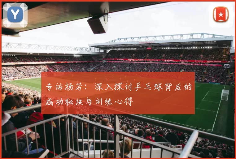 专访杨芳：深入探讨乒乓球背后的成功秘诀与训练心得