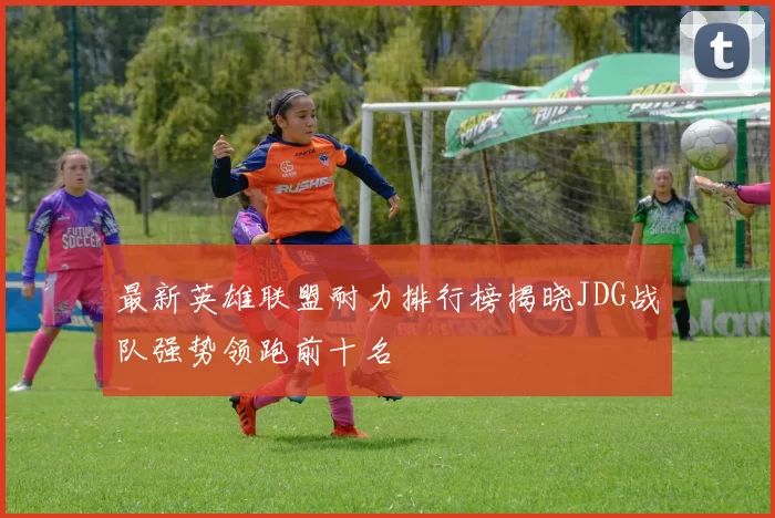 最新英雄联盟耐力排行榜揭晓JDG战队强势领跑前十名