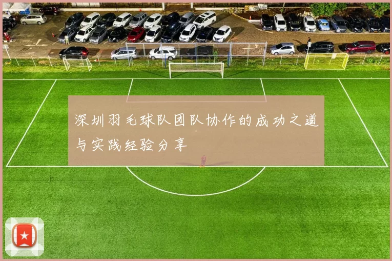 深圳羽毛球队团队协作的成功之道与实践经验分享