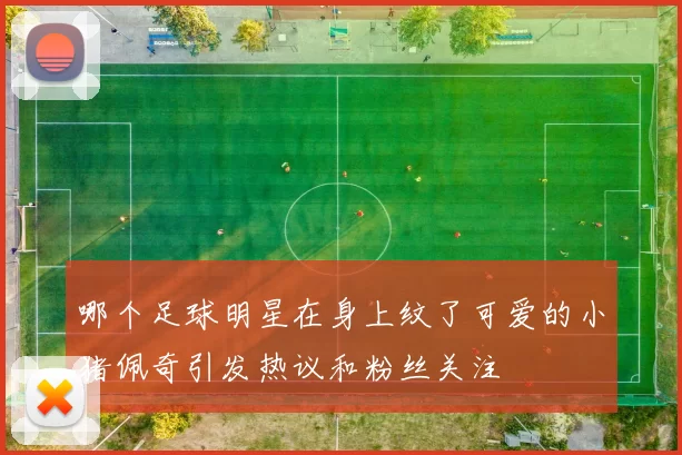 哪个足球明星在身上纹了可爱的小猪佩奇引发热议和粉丝关注