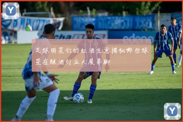 足球明星们的红酒生意揭秘哪些球星在酿酒行业大展拳脚
