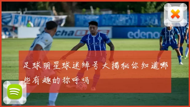 足球明星球迷绰号大揭秘你知道哪些有趣的称呼吗