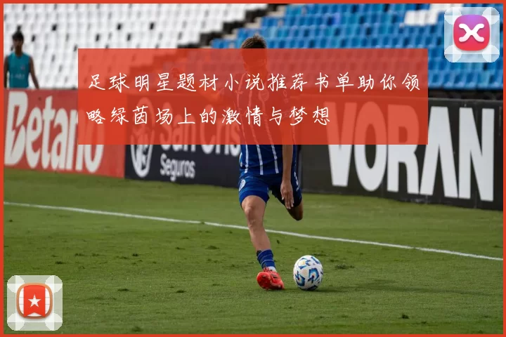 足球明星题材小说推荐书单助你领略绿茵场上的激情与梦想