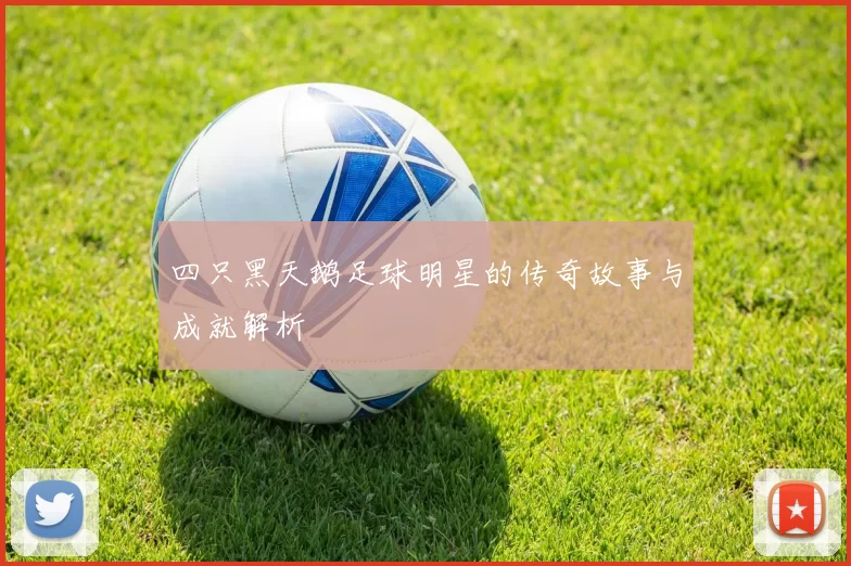 四只黑天鹅足球明星的传奇故事与成就解析