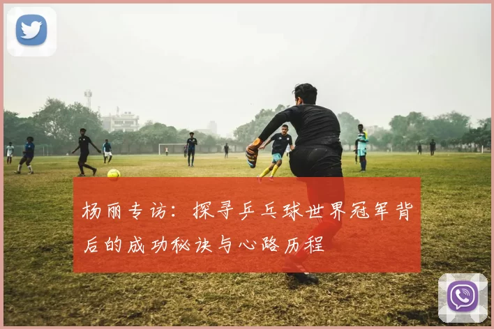 杨丽专访：探寻乒乓球世界冠军背后的成功秘诀与心路历程