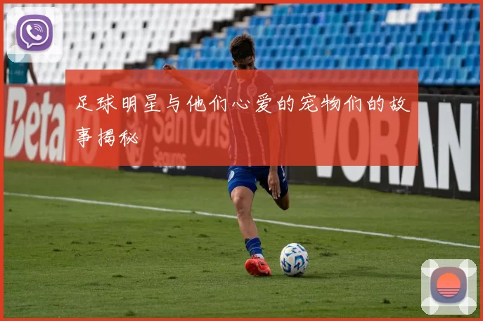 足球明星与他们心爱的宠物们的故事揭秘