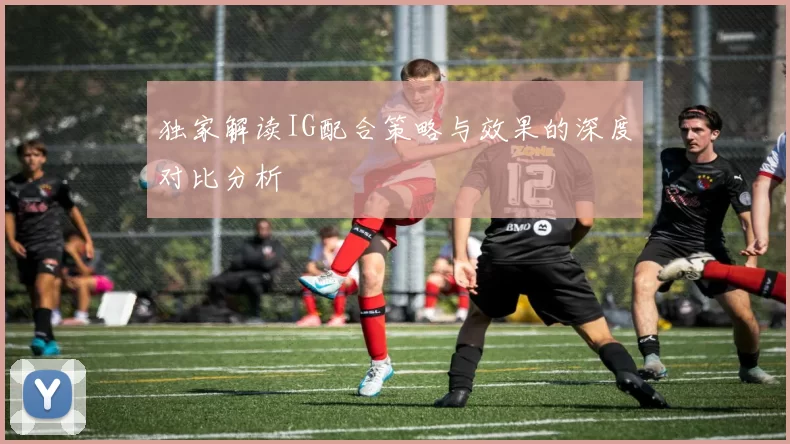 独家解读IG配合策略与效果的深度对比分析