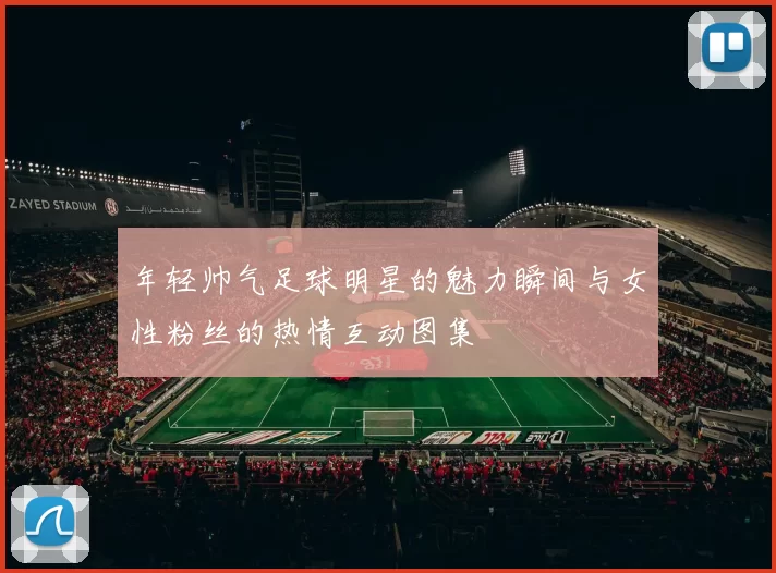 年轻帅气足球明星的魅力瞬间与女性粉丝的热情互动图集