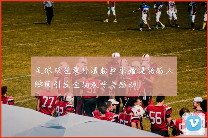 足球明星意外遭粉丝求婚现场感人瞬间引发全场欢呼与感动