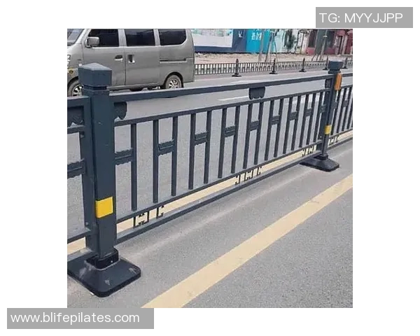 交通护栏的设计与应用研究：提升道路安全与美观的综合考虑